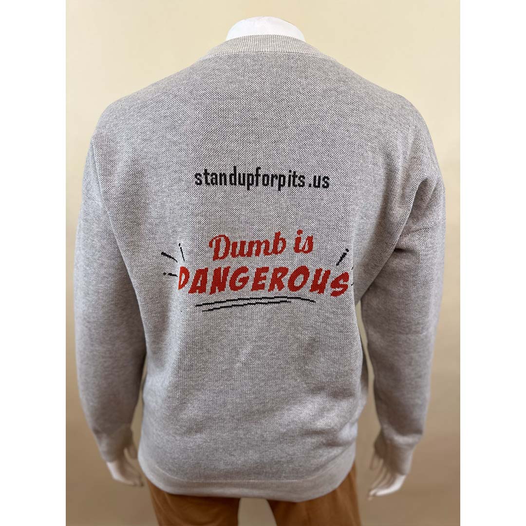 SALLY - TODD - ANGEL Crewneck Sweater Relaxed fit