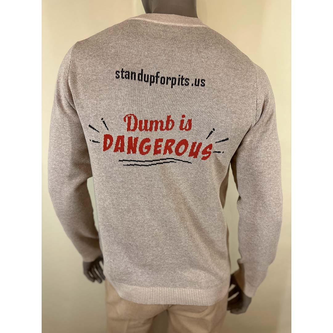 SALLY - TODD - ANGEL Crewneck Sweater Classic fit