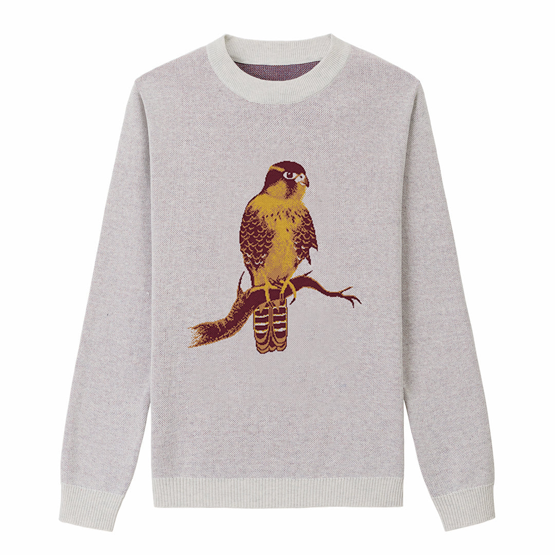 Aplomado Falcon Perched - Bone