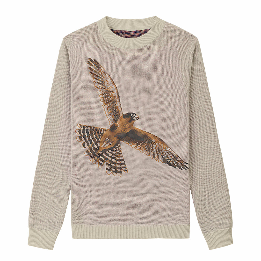 Aplomado Falcon Flying - Beige