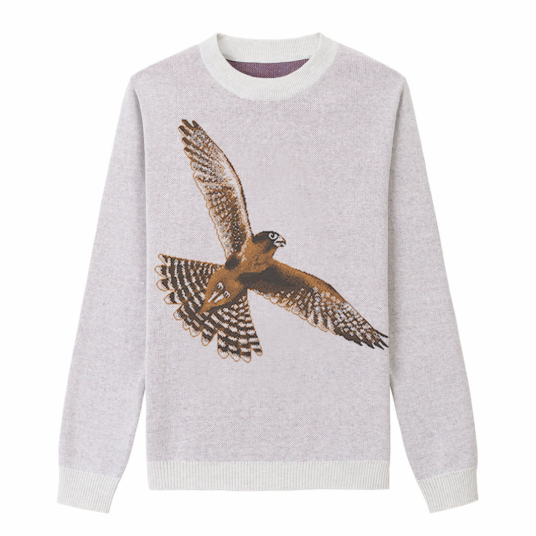 Aplomado Falcon Flying - Bleach