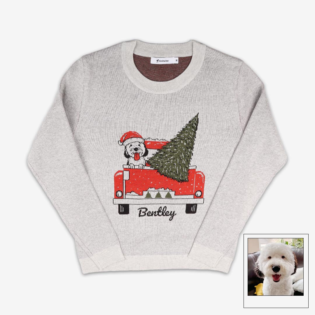 Holiday Special Pet Custom Sweater