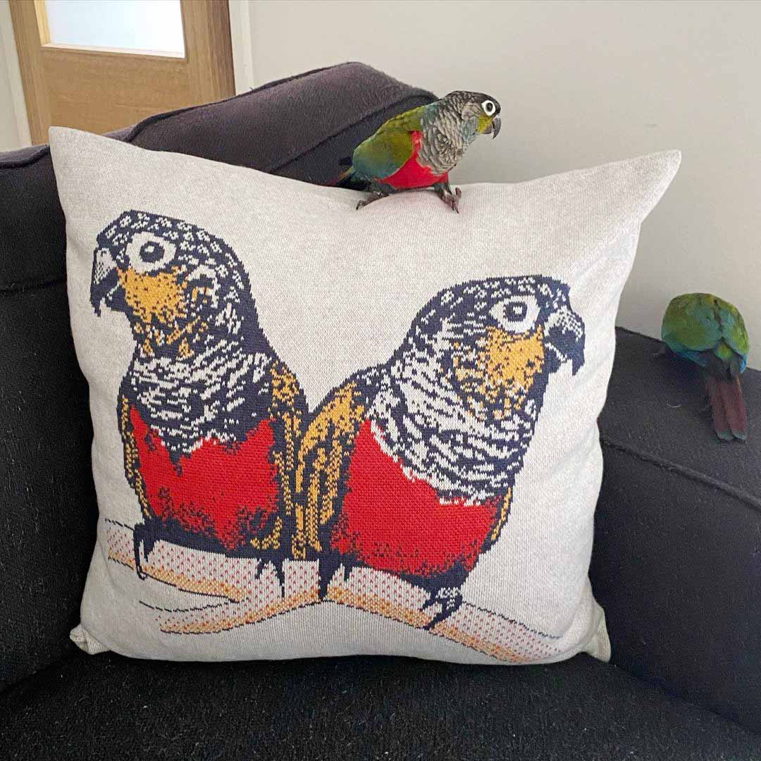 Custom Full Body Pet Portrait Pillowcase