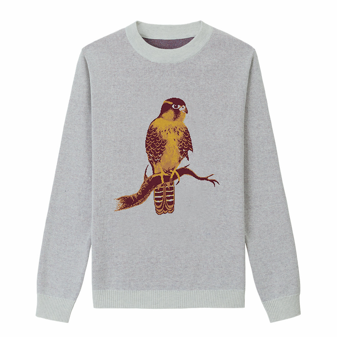 Aplomado Falcon Perched - Powder