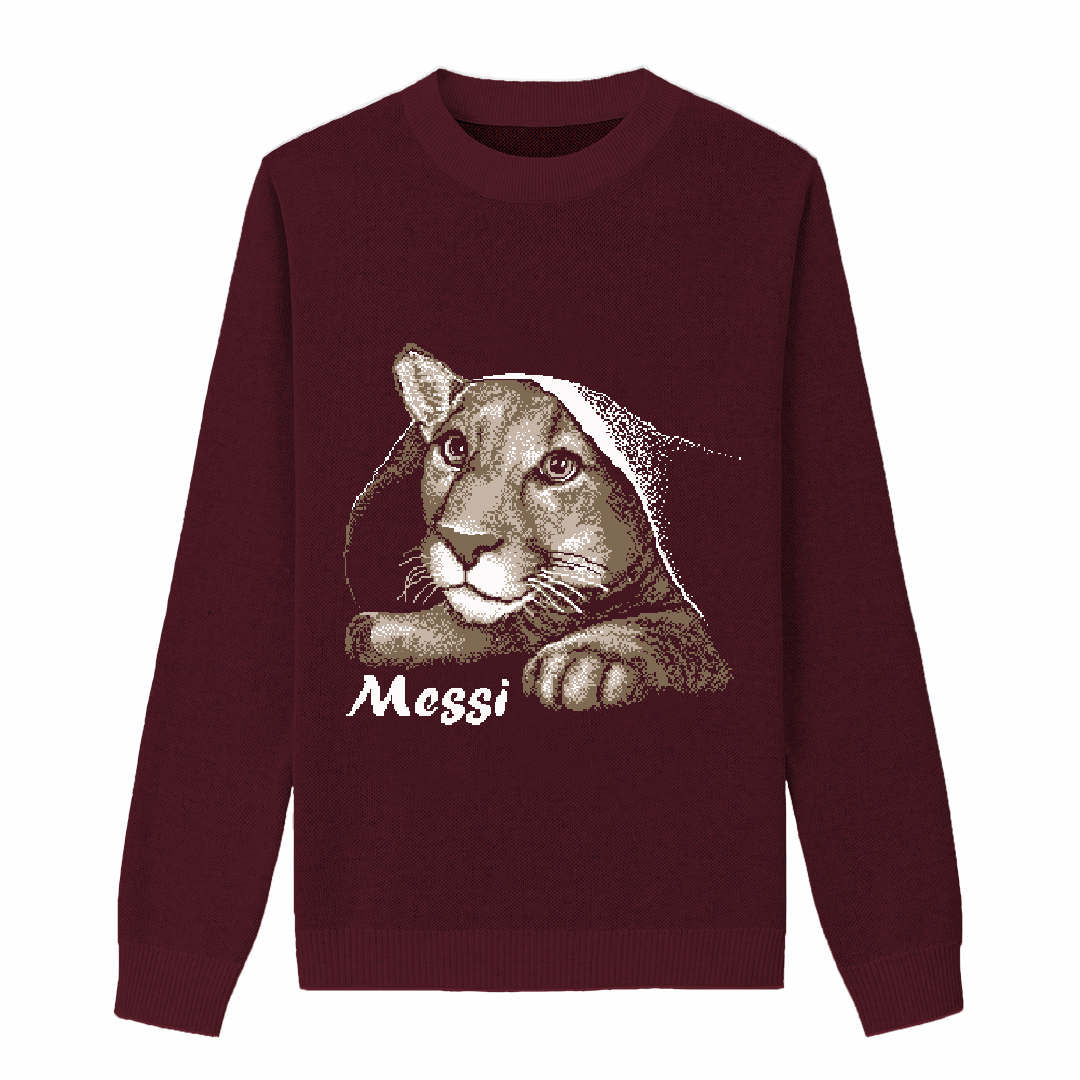{Front of Burgundy Playful Messi Sweater from Knitwise}