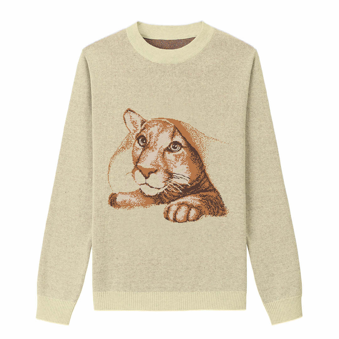 {Front of Mellow Playful Messi Sweater from Knitwise}