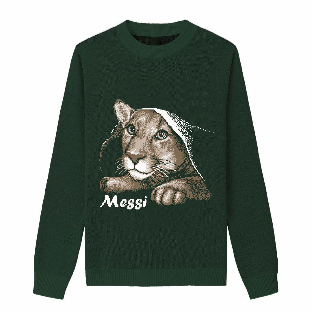 {Front of Pine Playful Messi Sweater from Knitwise}