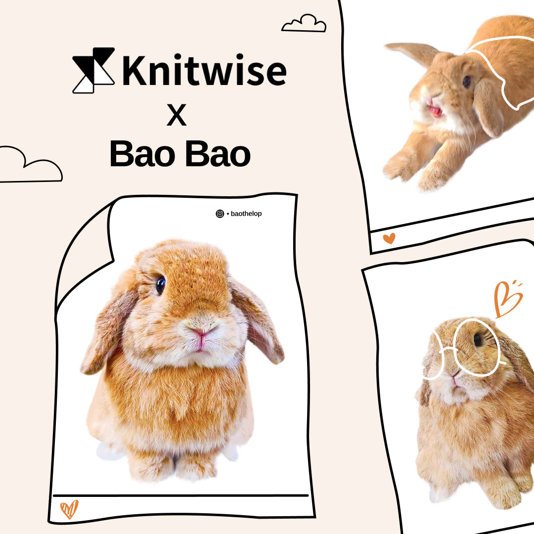 Bao Bao