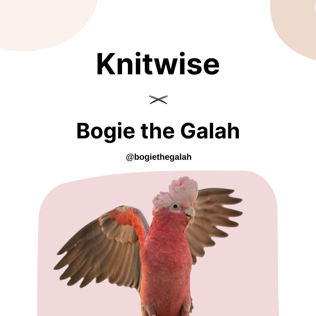 Bogie the Galah