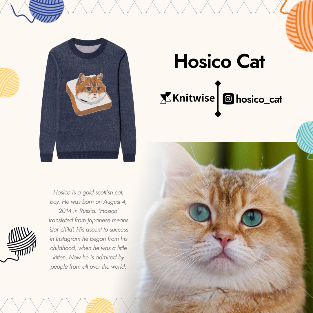 Hosico Cat