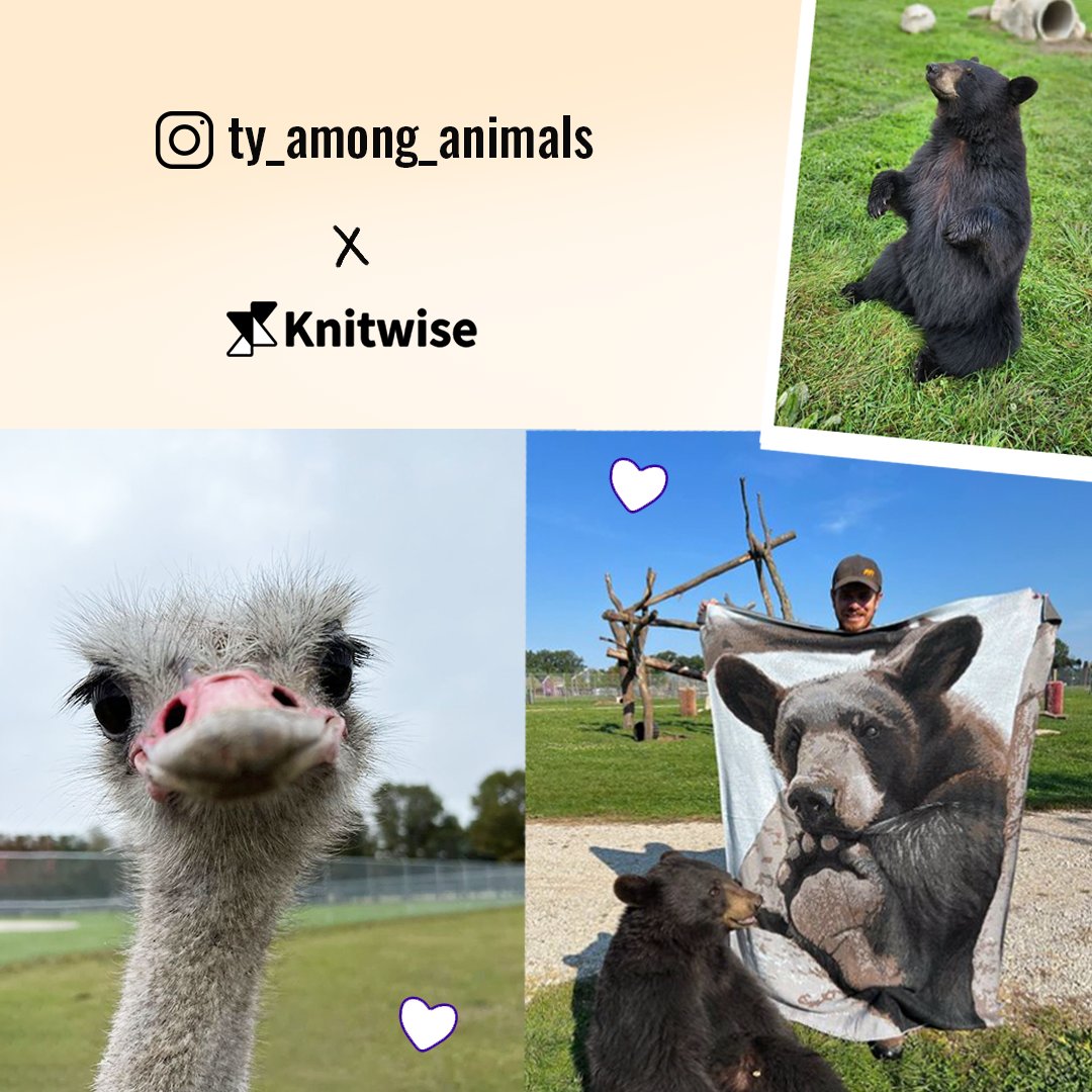 Buy ty_among_animals Merch Online I Knitwise