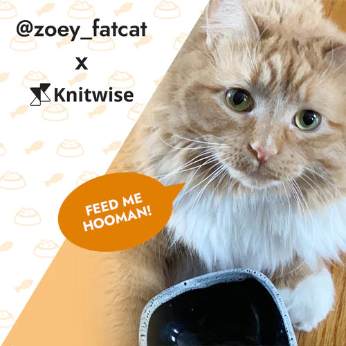 Zoey Fatcat