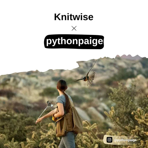 Pythonpaige