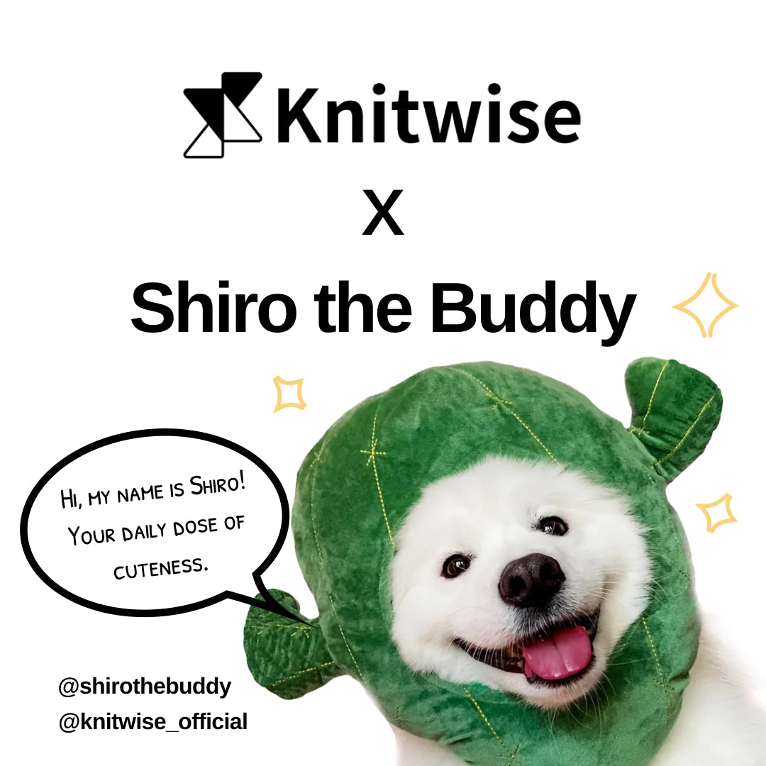 Shiro The Buddy