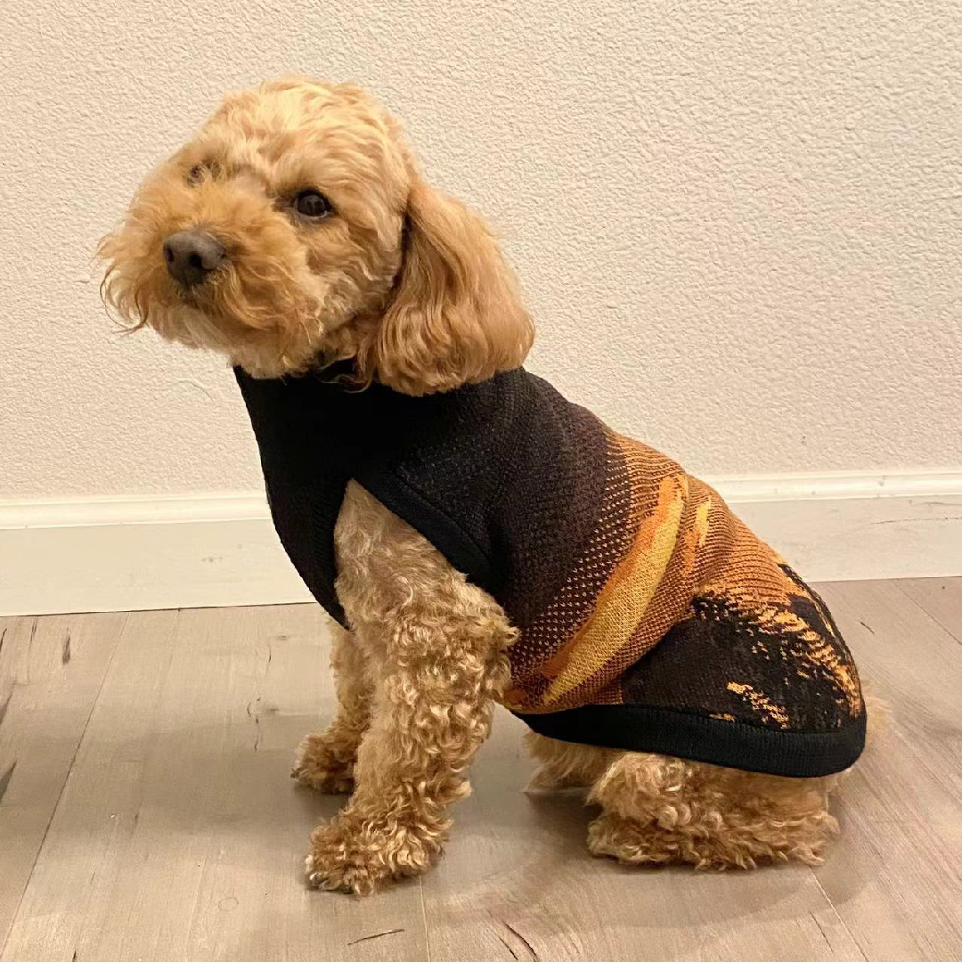 Pet Sweater