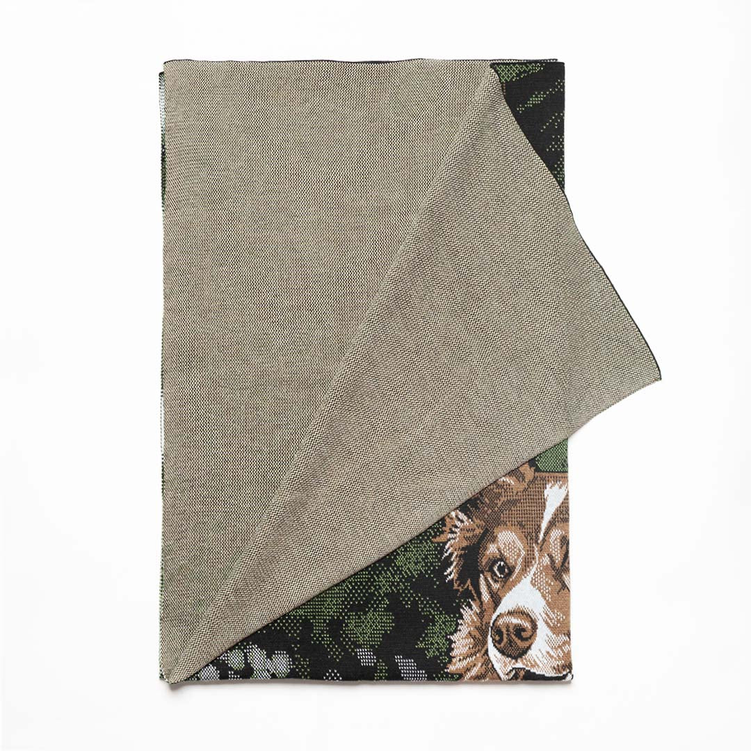 Blanket