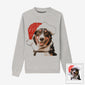 Holiday Special Pet Custom Sweater