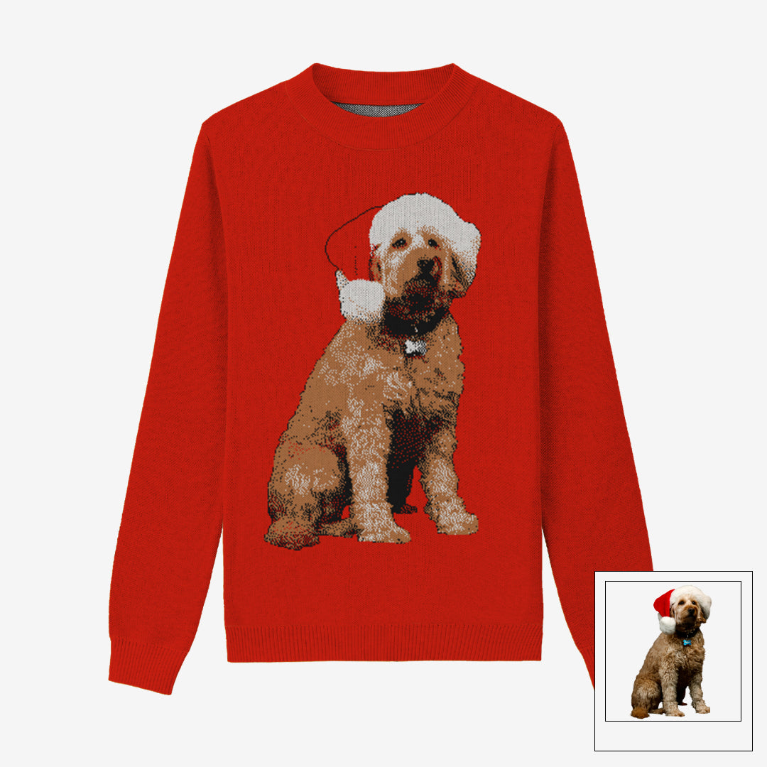 Holiday Special Pet Custom Sweater