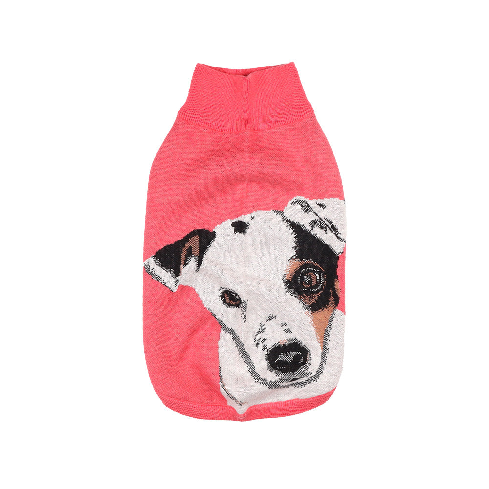 Pet Sweater