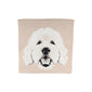 Pillow Case