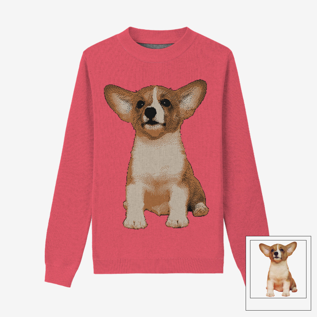 Full-Body Pet Custom Sweater