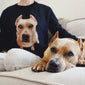 Full-Body Pet Custom Sweater