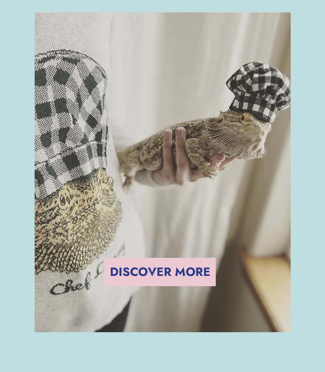 Discover more sweater designs