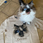 Portrait Only Pet Custom Sweater