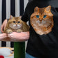 Portrait Only Pet Custom Sweater