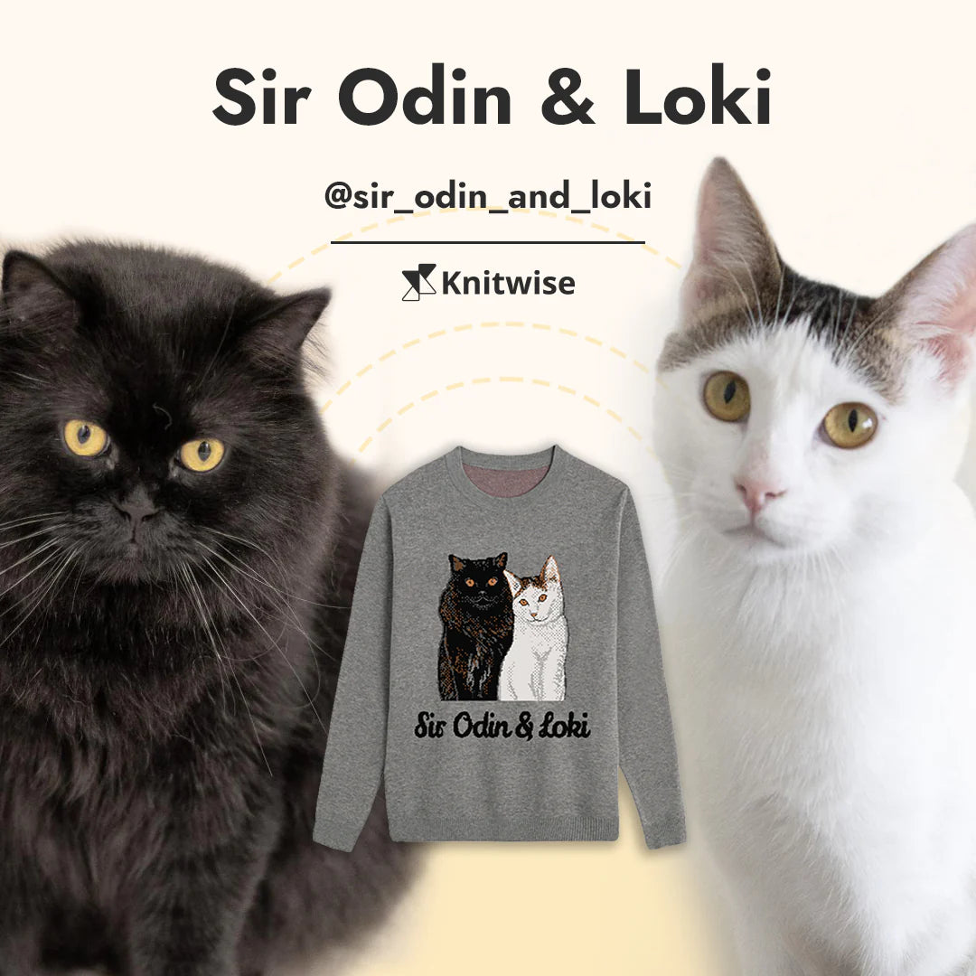 Sir Odin and Loki