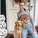 {Front of Grey Pet Portrait With Retro Sunset Background Sweater from Knitwise}