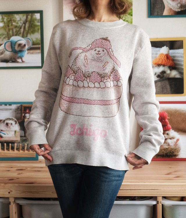 {Front of Grey Ichigo Cake Sweater from Knitwise}