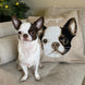 Custom Pet Portrait Pillowcase