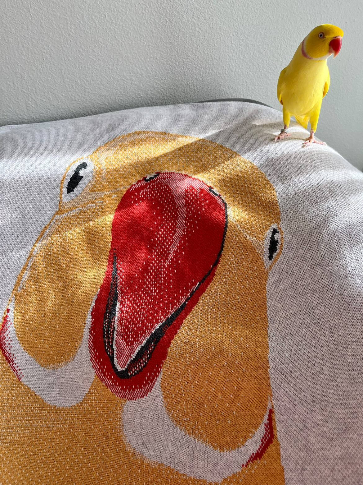 Twinkie the Parrot - Knitted Blankets