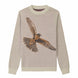 Aplomado Falcon Flying - Beige