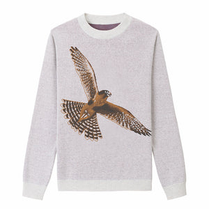 Aplomado Falcon Flying - Bleach