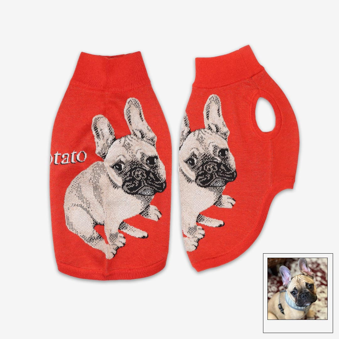 Chili online dog sweater