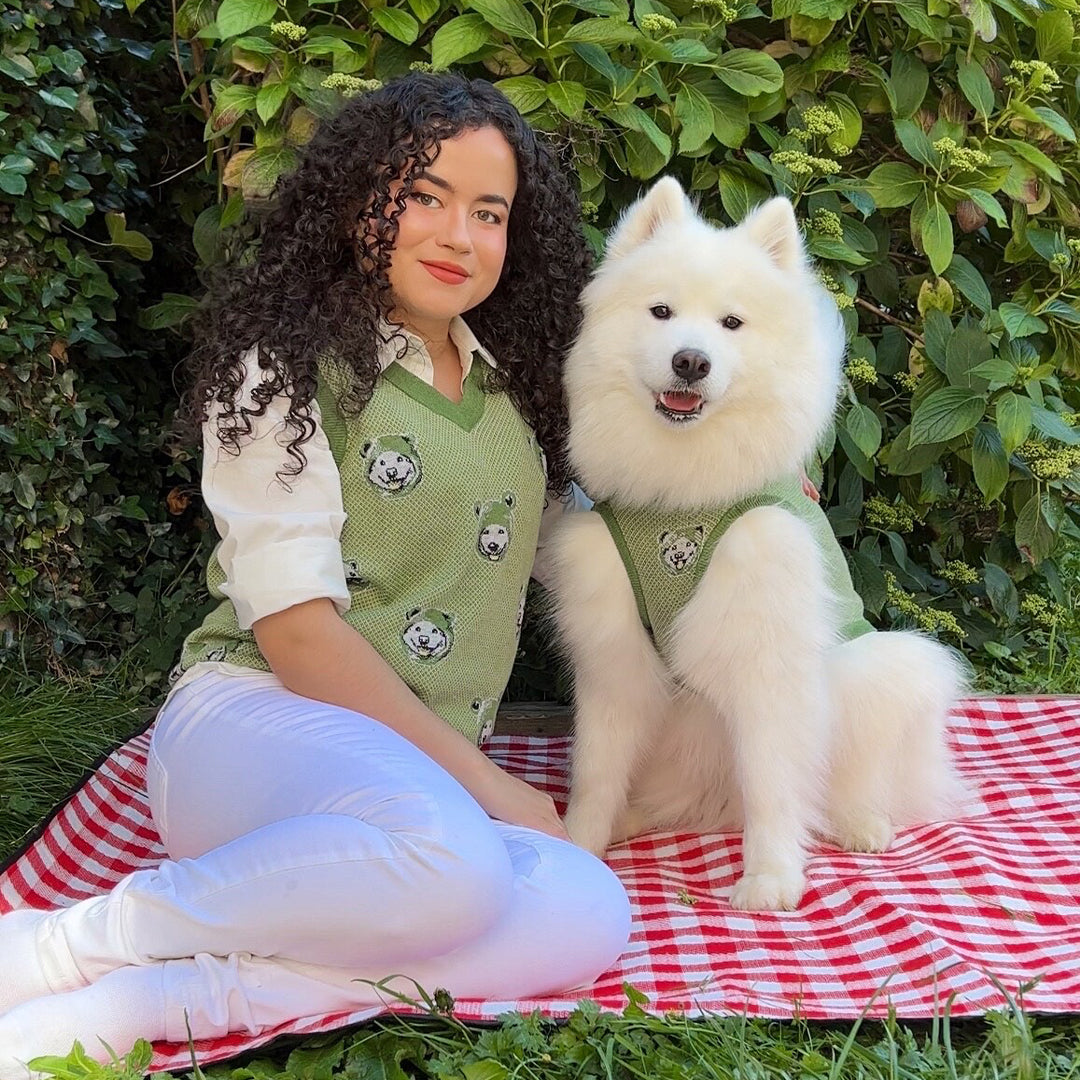 Shiro's Dog Sweater