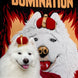 World Domination Blanket