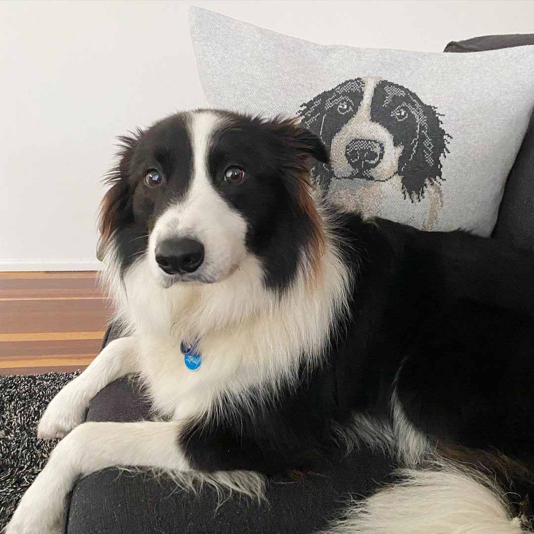 Custom Full Body Pet Portrait Pillowcase