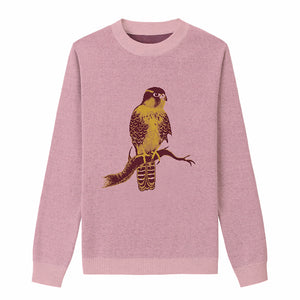 Aplomado Falcon Perched - Pink